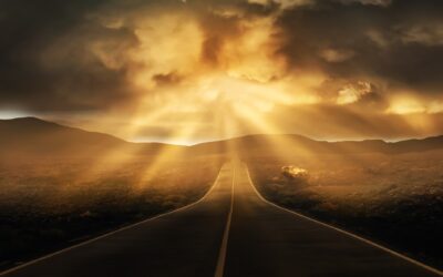 The Road Not Taken – Why I Said No To The Nine To Five